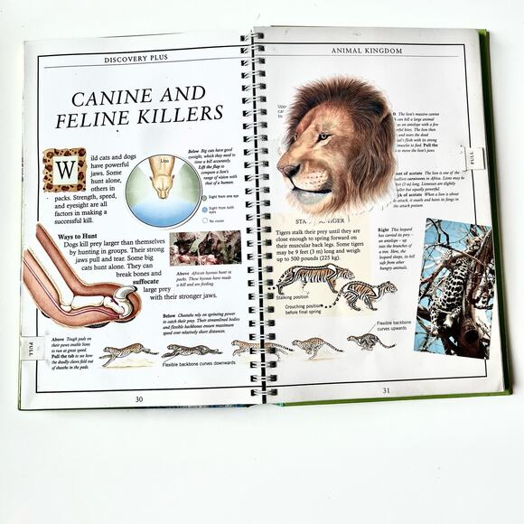 Discovery Plus: Animal Kingdom Book - By Barbara Taylor - Picture 4 of 5